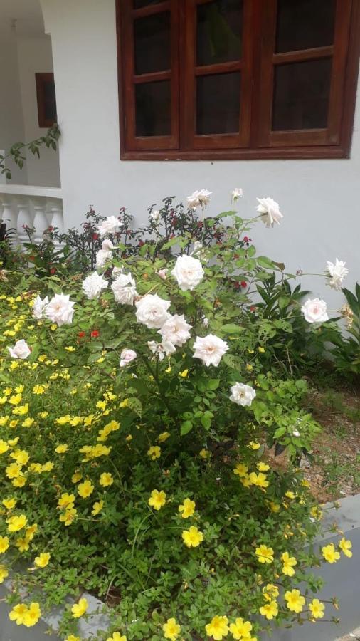 Ogumka, Self Catering , Beoliere, Mahe Ξενοδοχείο Victoria Εξωτερικό φωτογραφία